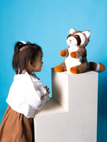 Bouillotte Peluche Raton-Laveur