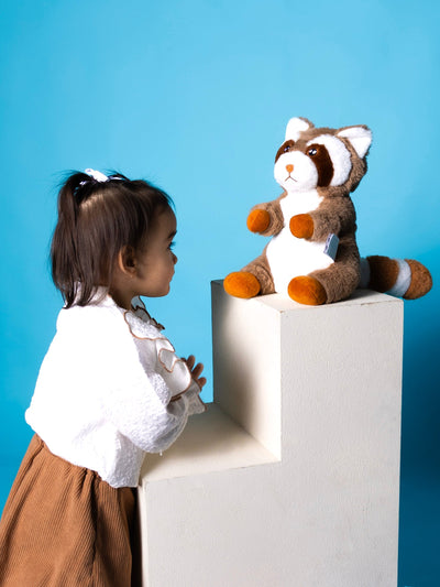 Bouillotte Peluche Raton-Laveur